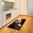 Pug High Density Long Fiber Poly Threads Decorative Area Rug Carpet-42029997