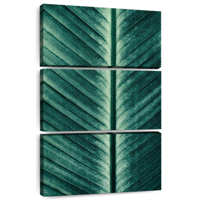 Harnek Palm Leaf Turning White