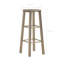 Erisa Bar Stool with Steel Frame