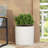 PLANTER-124449302