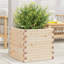 2 Outdoor Planter-100491953-100491928
