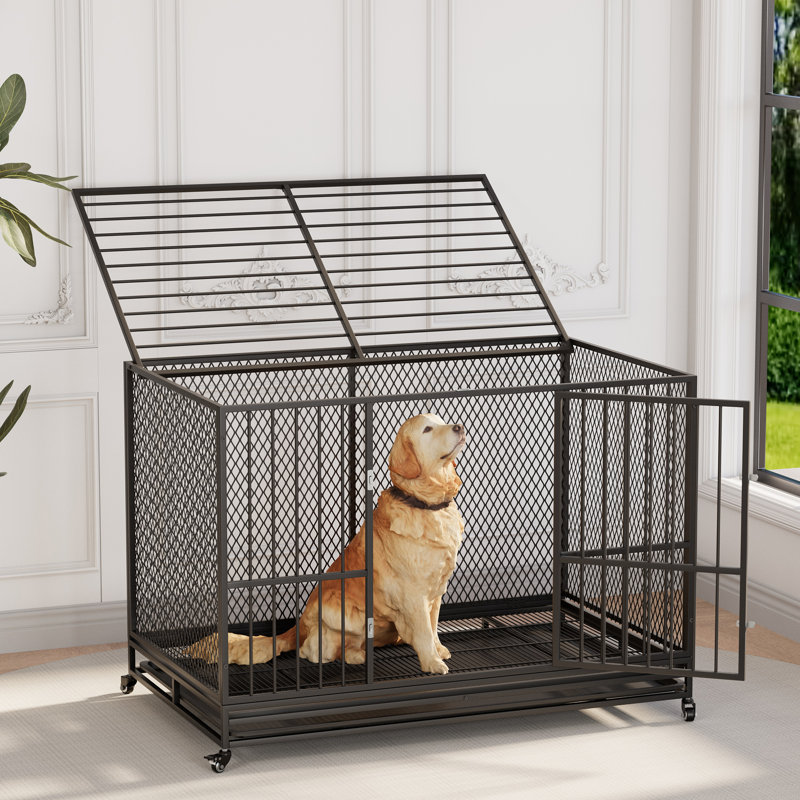 Meuble pour chien robuste de 37 à 48 po avec plateau amovible et roulettes verrouillables à 360 °