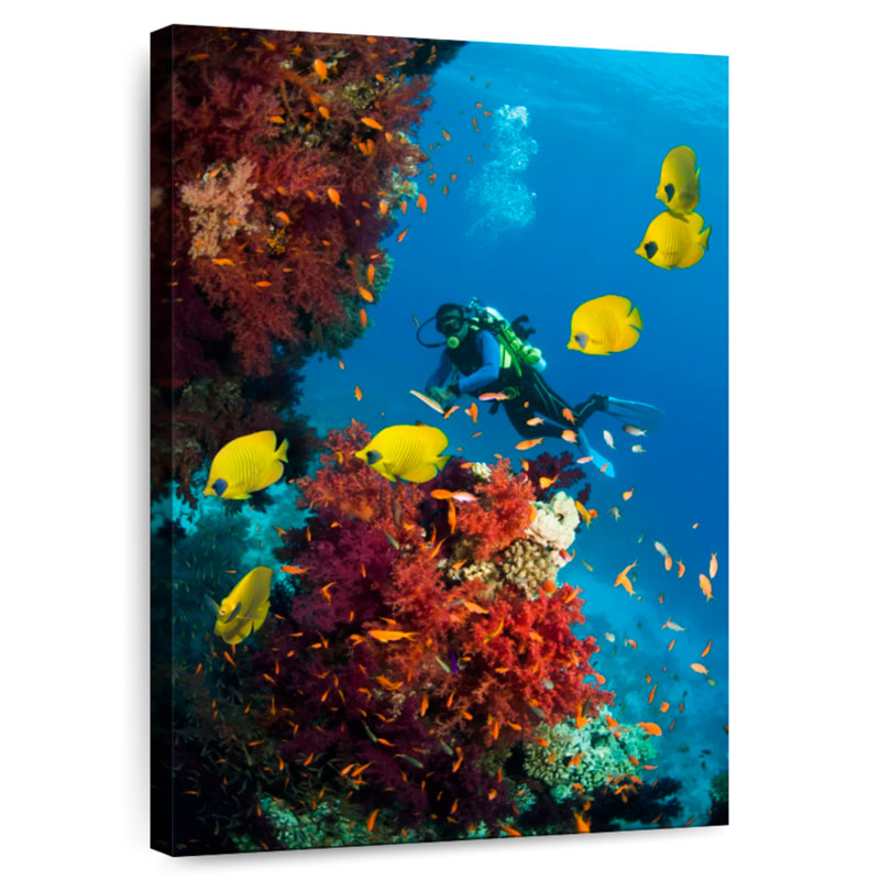 Senne Deep Sea Scuba Diving, 45" H x 30" W