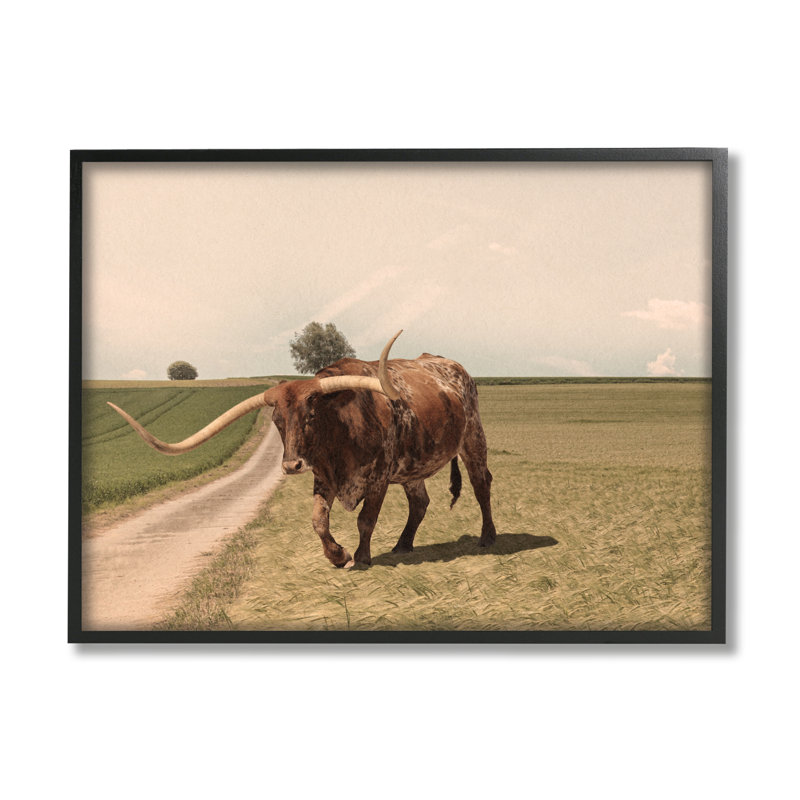 Longhorn, bovins, pâturages, paysage champêtre, photographie sur toile, Giclée encadrée noir minuit