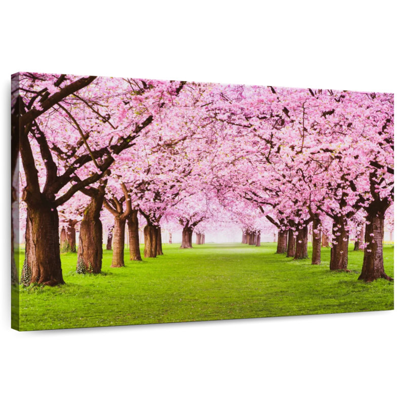 Harnek Cherry Blossom Grove, H 20 po x l 30 po