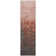  Machine Washable Indoor/Outdoor Chayden ACN1066 Rug