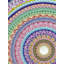 Multi Coloured Mandala Painting | Staedtler Fineliners On Paper | By Rashi Agrawal
