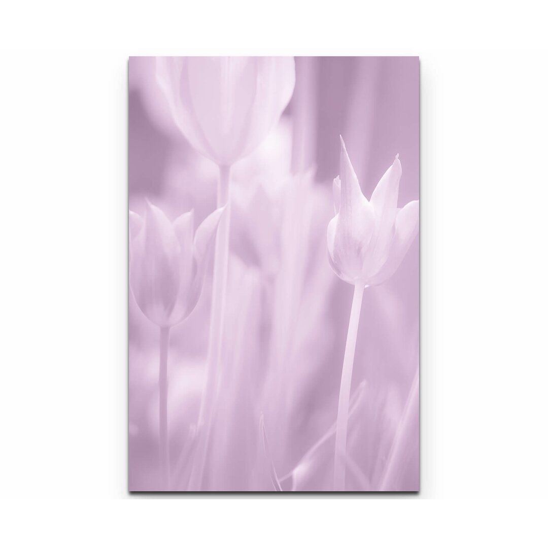 Leinwandbild Rosa gefärbtes Tulpen Bild