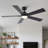 52" Matte Black Modern Reversible Motor Integrated LED Dimmable Ceiling Fan with Light and Remote-793522777-793522778