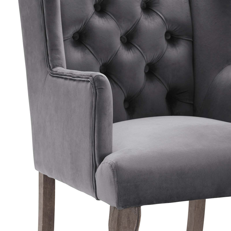 Realm Armchair Performance Velvet Set Of 2 In Grey