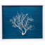 Sealife Print