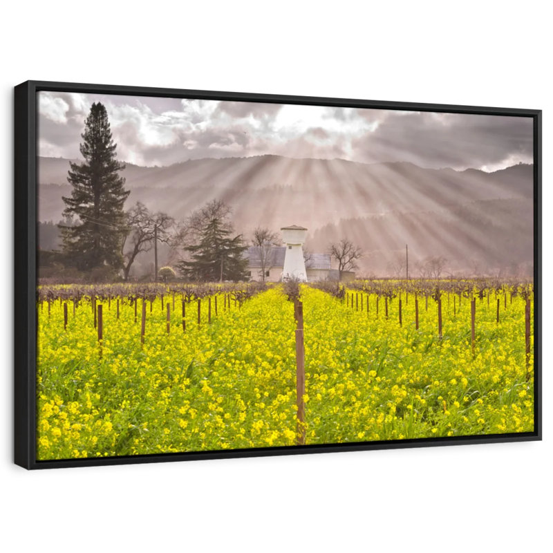 Nature «Art mural de Napa Valley Vineyard», H 9 po x l 13 po