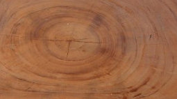 Solid Wood Coffee Table