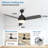 Demy 48'' Ceiling Fan with LED Lights and Remote Control 3-Blades