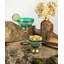 Nahlia Margarita Glass