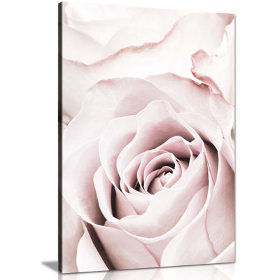 Pastel Pink Rose Close Up - Wrapped Canvas Print