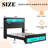 Sherell Bed Frame with Bookcase Storage Headboard and Footboard, LED Lights, Charging Station-409051021-409051020