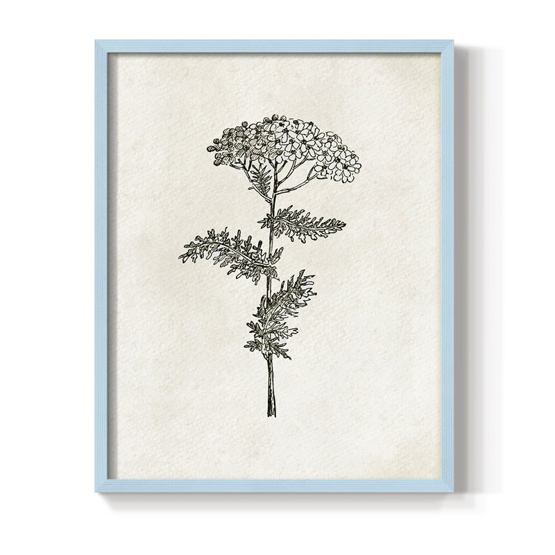 Reproduction florale vintage encadrée «Cccxxiv» - bois massif, Bleu, H 30 po x l 24 po