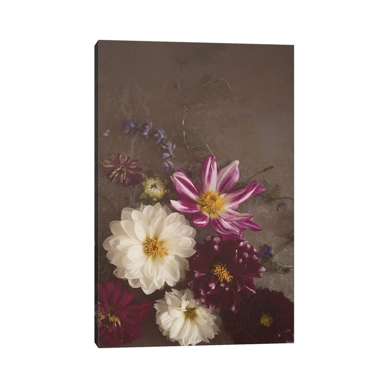 Dark Dalias Final by Mandy Lynne - Wrapped Canvas Print, 101.6 cm H x 66.04 cm W x 1.91 cm D
