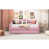Rose est en rupture de stock