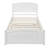 Twin Size Platform Bed With Trundle