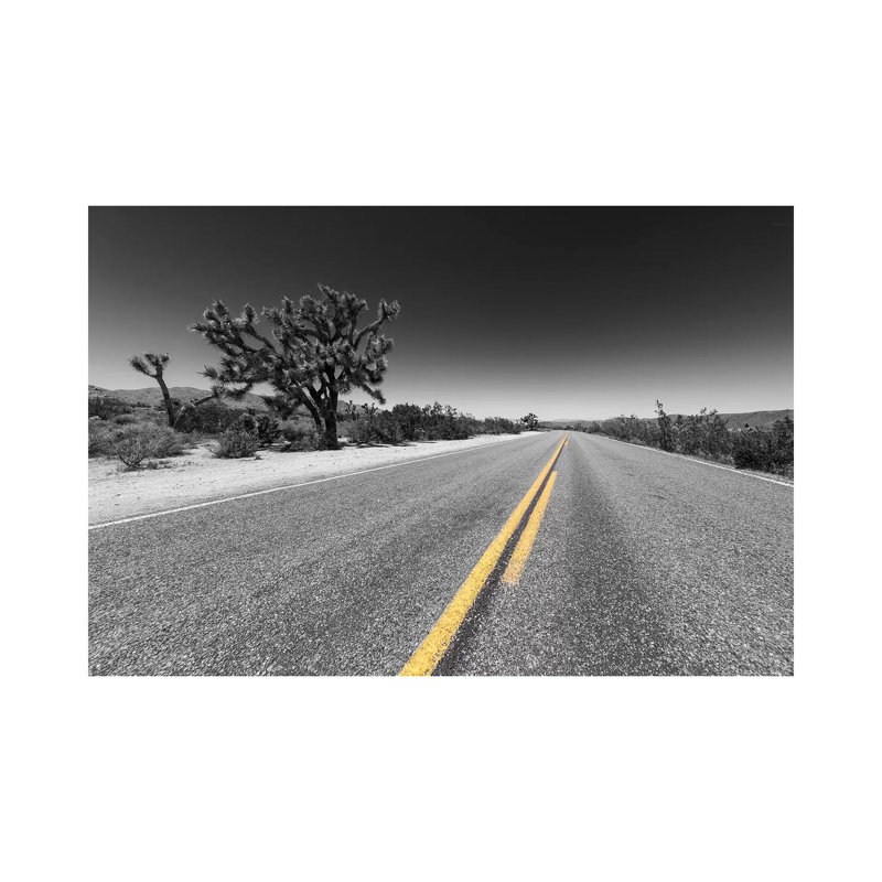 Park Boulevard, Joshua Tree National Park 1 Piece Wrapped Canvas Wall Art, 66.04 cm H x 45.72 cm W x 3.175 cm D