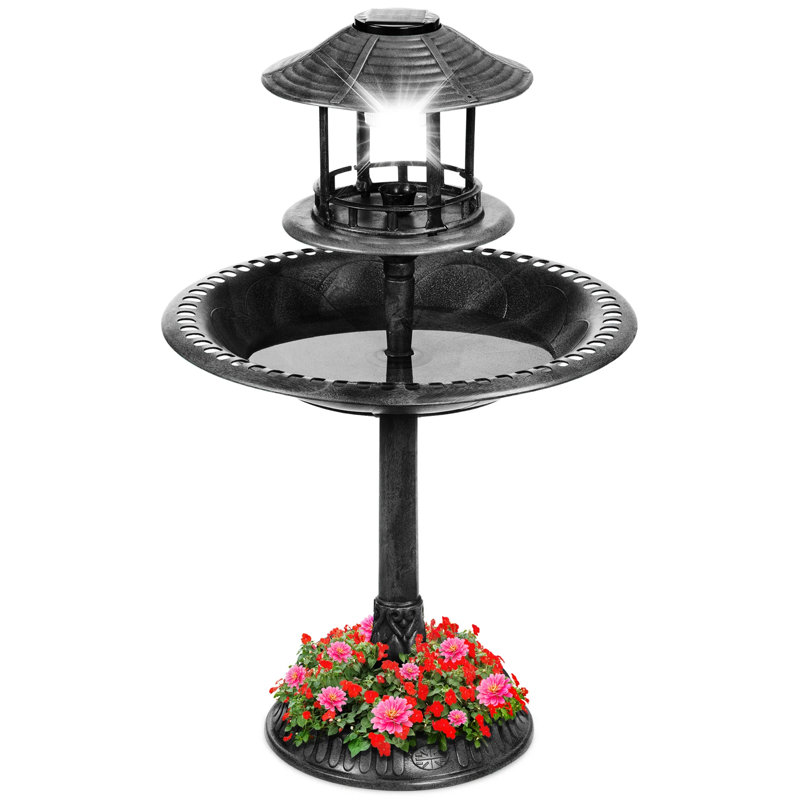Bain d'oiseaux, Black