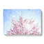 Pink Japanese Cherry Tree In Spring - Wrapped Canvas-56639189