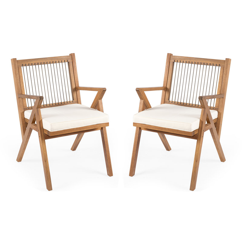 Patio Dining Chair With Cushion (Set Of 2)