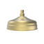 Pomme de douche 8 po Levantine, laiton brossé-121869658