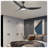 Kaviona 68'' Ceiling Fan with LED Lights
