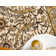 Britannia Floral Indoor Rug
