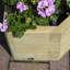 Wood Planter Box