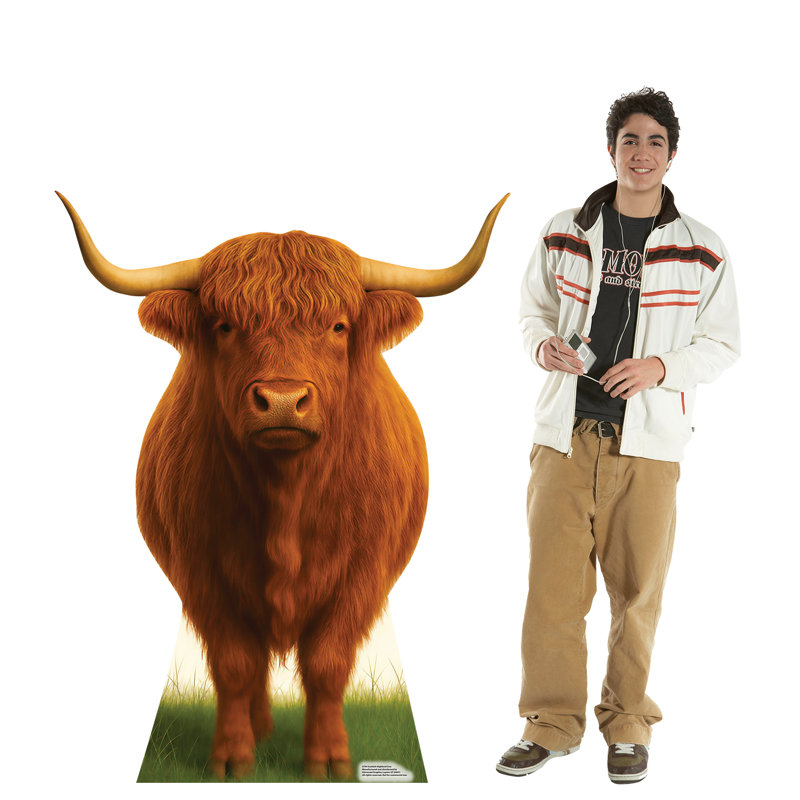 Scottish Highland Cow