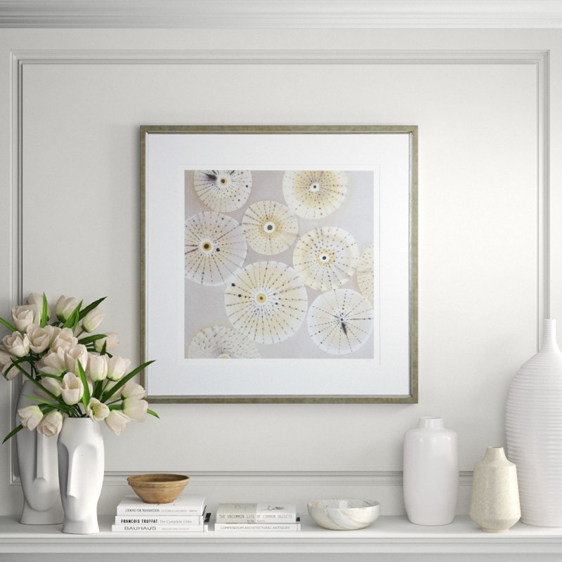 Sea Urchins 2 Print by Heaton