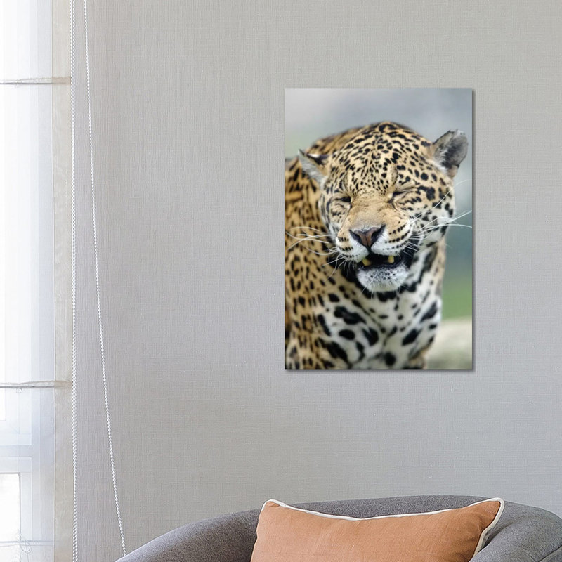 Smiling Jaguar by Goran Anastasovski - Wrapped Canvas Print, 66.04 cm H x 45.72 cm W x 1.91 cm D