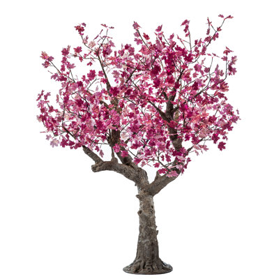 Érable, feuilles et branches éclairées