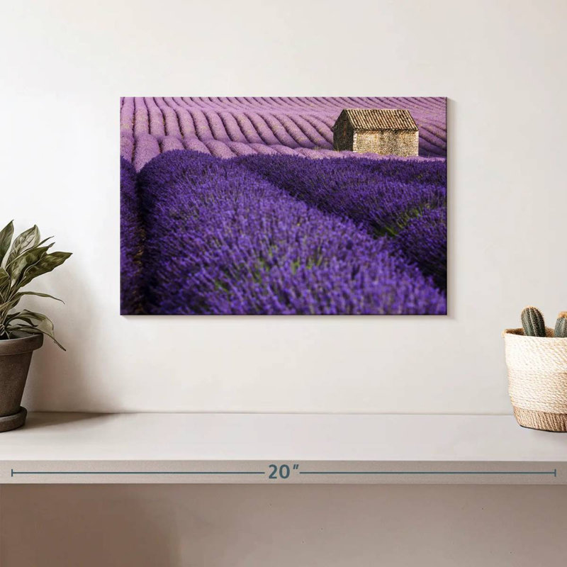 Alvord Valensole Plateau, H 8 po x l 12 po