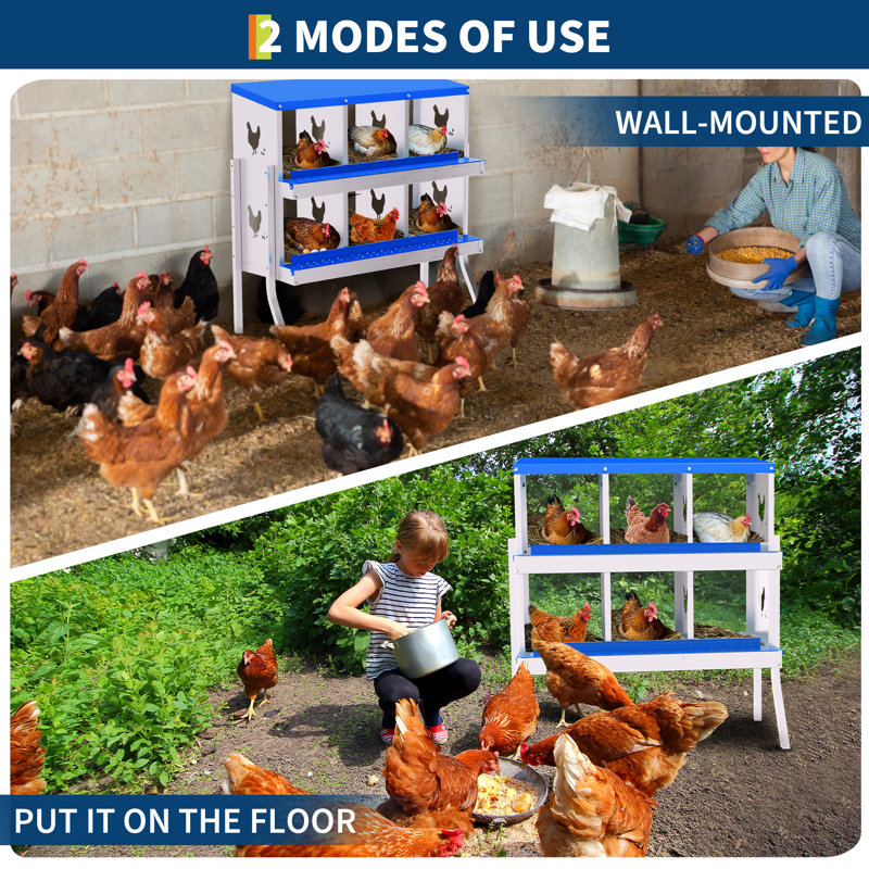 Chicken Coop, Blue