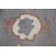 Tapis oriental gris à motif floral Oushak 10 x 14
