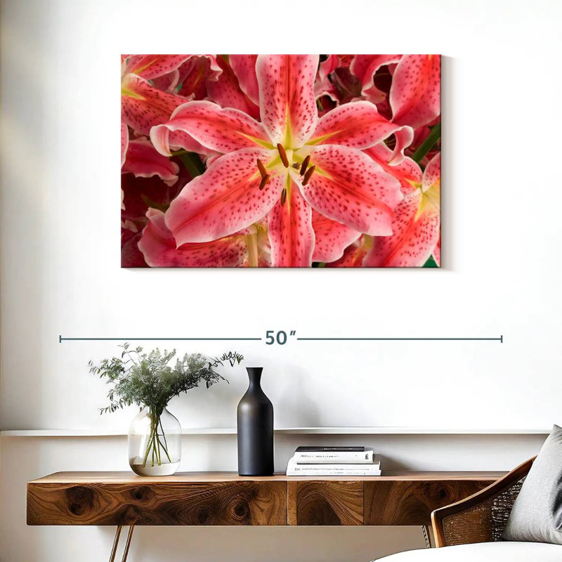 Fleurs de lys Harnek Stargazer, H 24 po x l 36 po