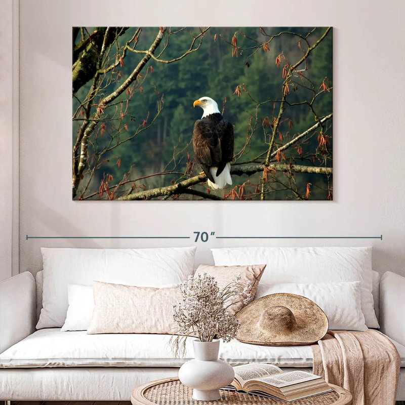 Brampt Perched Canadian Bald Eagle, 34" H x 51" W
