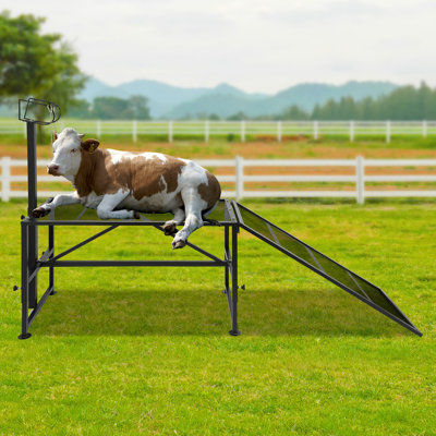 Milking Stand With A Ramp, Adjustable Milking Stand, Metal Trimming Stand