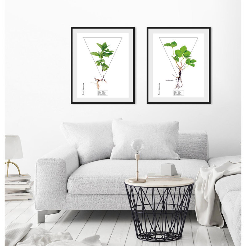 Plant - Single Picture Frame Print, 40 cm H x 30 cm W