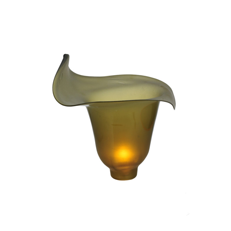 Novelty Lamp Shade