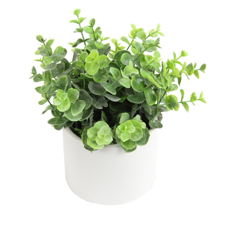8.25 " Faux Eucalyptus in Ceramic Pot
