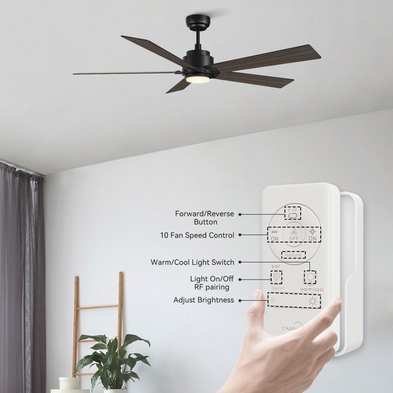 Liandro 60'' Ceiling Fan with Light, Dark Walunut/Gray Oak