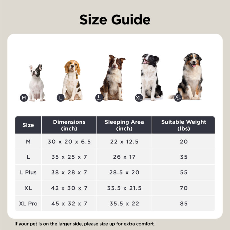 Lit orthopédique pour chien de taille moyenne, avec traversin ovale avec housse en molleton doux imperméable et lavable