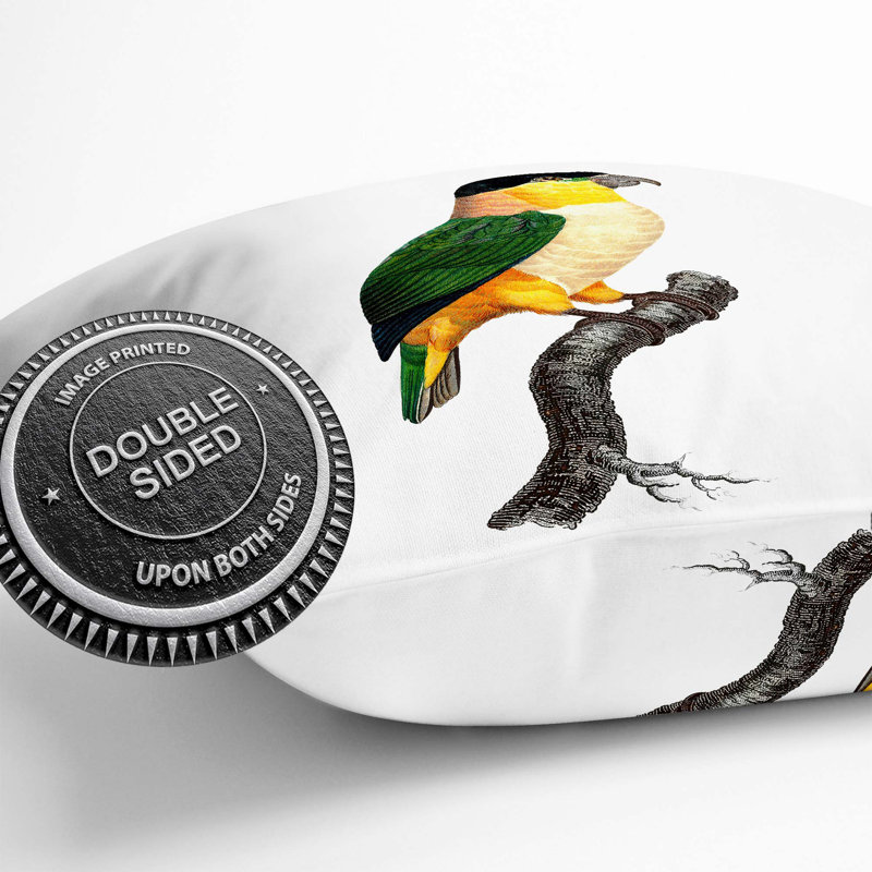 A Black-Headed Parrot Square Throw Cushion, 40 x 40 cm