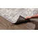Gertha Oriental Indoor Rug